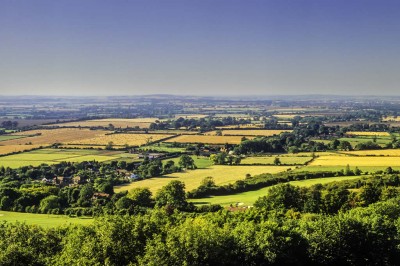 Why Home Buyers Need a Local Estate Agent